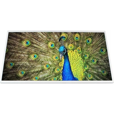 LCD LESK HD SAMSUNG R418 R420 R425 R428 (LCD LED TN lesklý 14 " 1366 x 768 003) – Hledejceny.cz