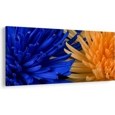 Detailný obraz kvetov, jednodielne 250x125 cm