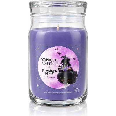 Yankee Candle Signature Amethyst Moon 567 g