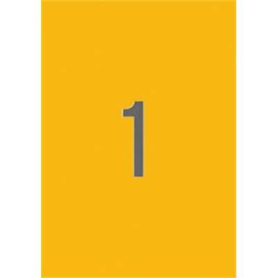 APLI 02879 Štítok 210 x 297 mm farebný neónovo oranžový 20 štítkov balenie