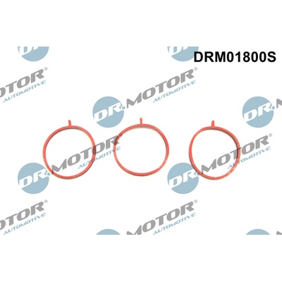 DR.MOTOR AUTOMOTIVE Sada tesnení kolena nasávacieho potrubia DRM01800S