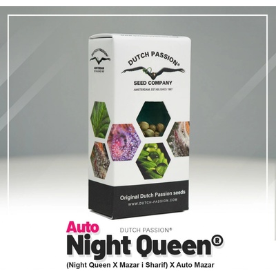 Dutch Passion AUTO Night Queen semienka neobsahujú THC 3 ks