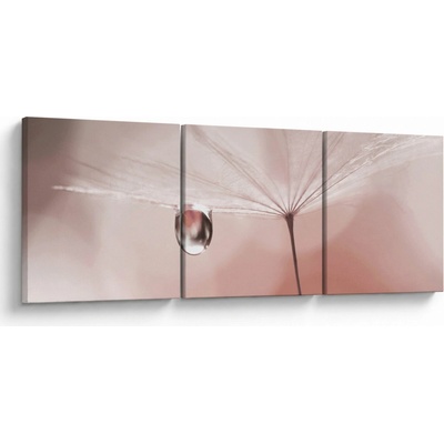 Obraz - Kapka rosy, třídílný 120x40 cm