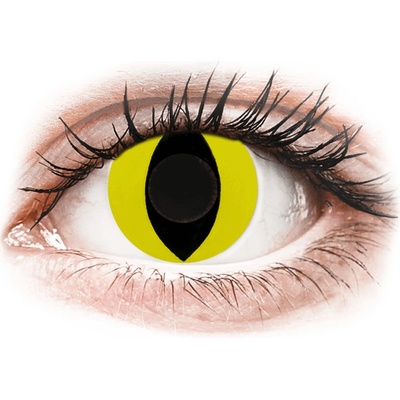 Gelflex CRAZY LENS - Cat Eye Yellow - nedioptrické jednodenní 2 čočky – Hledejceny.cz