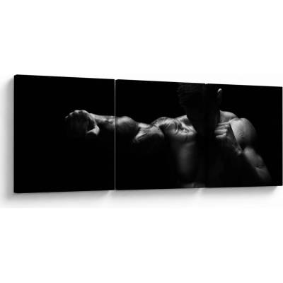 Obraz - Úder päsťou, trojdielne 90x30 cm