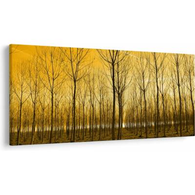 Obraz lesa pri západe slnka, jednodielne 250x125 cm