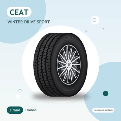 CEAT WINTER DRIVE SPORT 205/55 R17 95W
