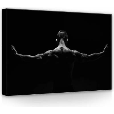Consalnet Obraz na plátně: Tanečník - 70x50 cm