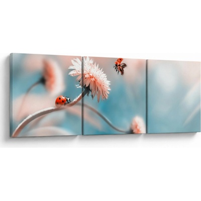 Obraz - Berušky na květu, třídílný 90x30 cm