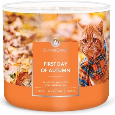 Goose Creek Candle First Day of Autumn 411 g