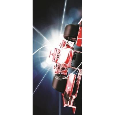 Preinterier DV0202 Fototapeta na stenu Formula vlies 91cm x 211cm