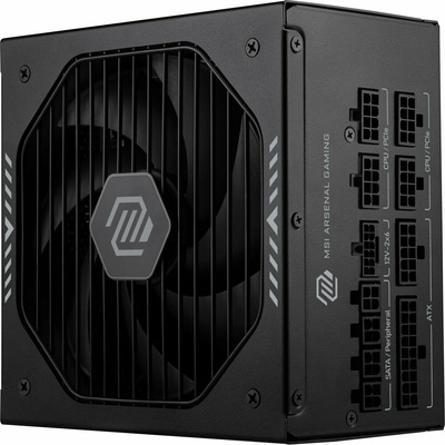 MSI MAG A850GLS PCIE5 850W 306-7ZPIY11-CE0
