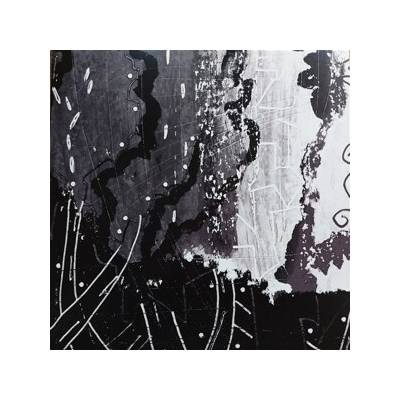 Luciano Bagnasco - Procesos Cruzados LTD LP – Hledejceny.cz