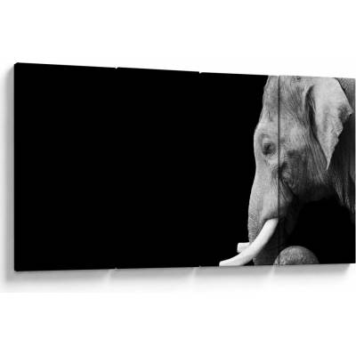 Obraz - Slon, štvordielne 160x80 cm