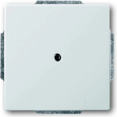 Busch-Jaeger 2CKA001710A3752