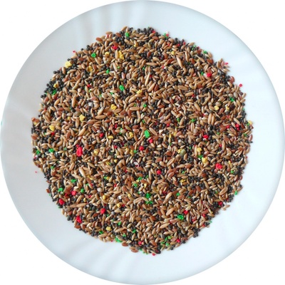 Avicentra Deluxe Kanár 5 kg