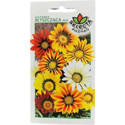 Gazánia lesklá: Gazania rigens 0,5 g