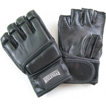 EVOLUTION MMA RM-200-10