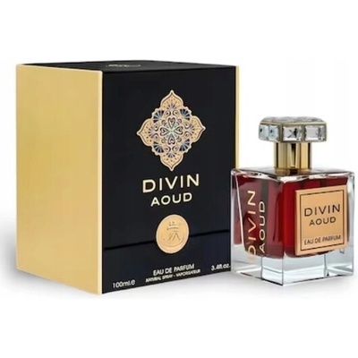French Avenue Divin Aoud parfumovaná voda pánska 100 ml