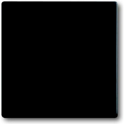 Busch-Jaeger 2CKA001751A3041