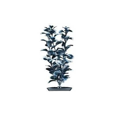 Hagen Red Ludwigia Black/White-tips 20 cm – Hledejceny.cz