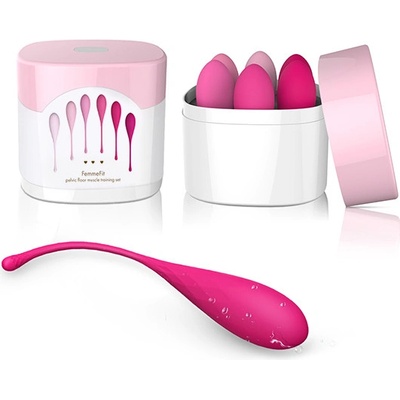 FeelzToys FemmeFit Pelvic Muscle Training Set 6 pcs