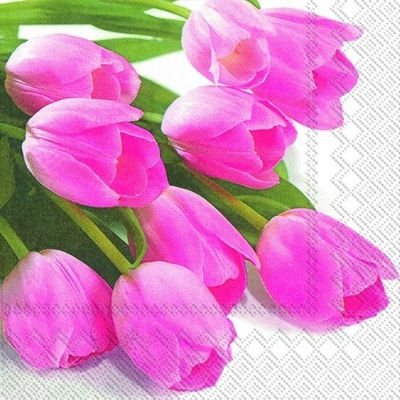 IHR Servítky veľké Tulipány 33x33cm
