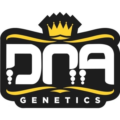 DNA Genetics Banana Sorbet Balenie: 5 ks 0% THC