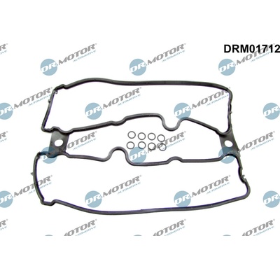 DR.MOTOR AUTOMOTIVE Tesnenie veka hlavy valcov DRM01712
