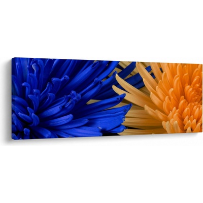 Detailní obraz květů, jednodílný 100x40 cm
