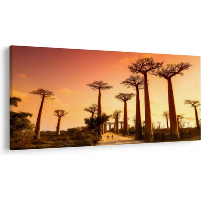 Obraz - Západ slnka v uličke Baobab, jednodielne 250x125 cm