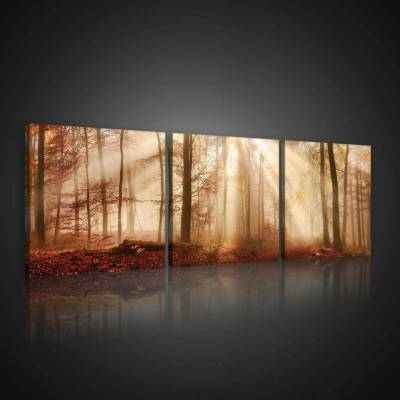 Consalnet Obraz na plátně: Lesní rozbřesk - set 3ks 25x25cm