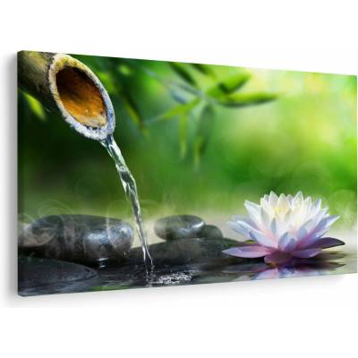 Obraz - Lotus, jednodielne 150x100 cm