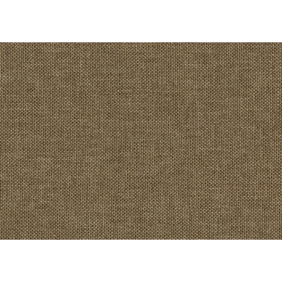 ITTC Stima Guru dub / lux 2 camel
