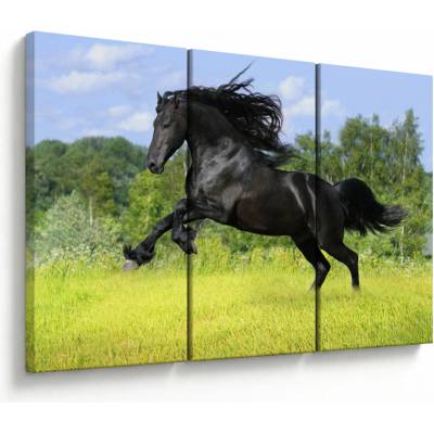 Obraz - Kôň s vzdušnou hrivou, trojdielne 120x80 cm
