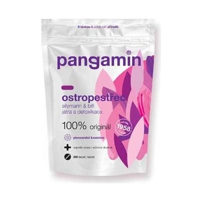Pangamin Ostropestřec 200 tablet – Hledejceny.cz