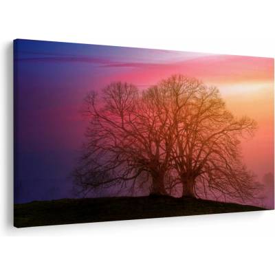 Obraz stromov v hmle, jednodielne 120x80 cm