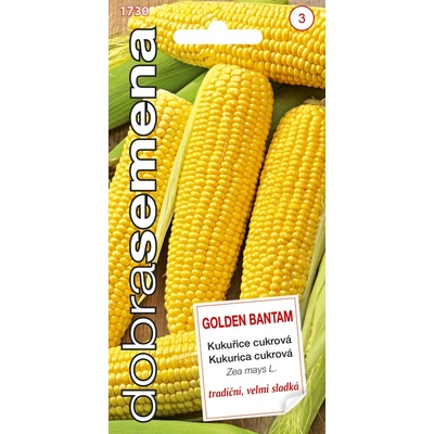 KUKURICA CUKROVÁ GOLDEN BANTAM 5 g