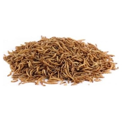 AnimALL Moučný červ sušený 70 g