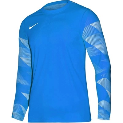 Nike Dry Park IV JSY LS GK Jr CJ6072-463
