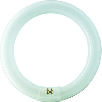 Philips kruhová Master TL-E Circular Super 80 22W/865 1CT G10q Teplá bílá