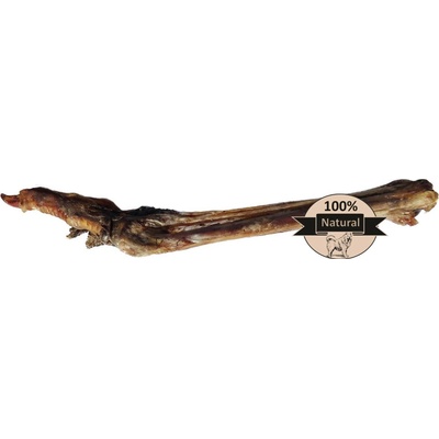 Blažek Pštrosí pařát natural 60 cm