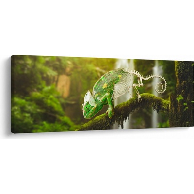 Obraz chameleona, jednodílný 100x40 cm