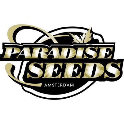 Paradise Seeds Delahaze semienka neobsahujú THC 10 ks