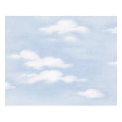 A.S. Création 798121 - Papierová tapeta Dekora Natur 6 rozmery 0,53 x 10,05 m