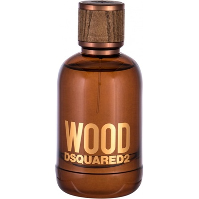 Dsquared2 Wood toaletní voda pánská 100 ml