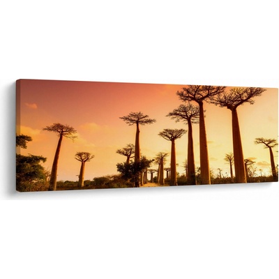 Obraz - Západ slnka v uličke Baobab, jednodielne 100x40 cm