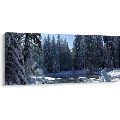 Obraz zasneženého lesa, jednodielne 120x50 cm
