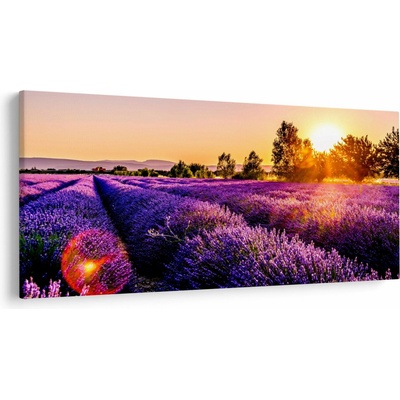 Obraz levanduľového pole, Provence, jednodielne 200x100 cm