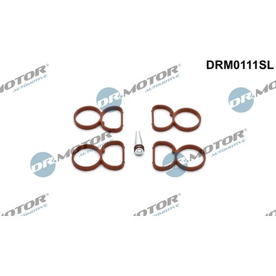 DR.MOTOR AUTOMOTIVE Sada tesnení kolena nasávacieho potrubia DRM0111SL